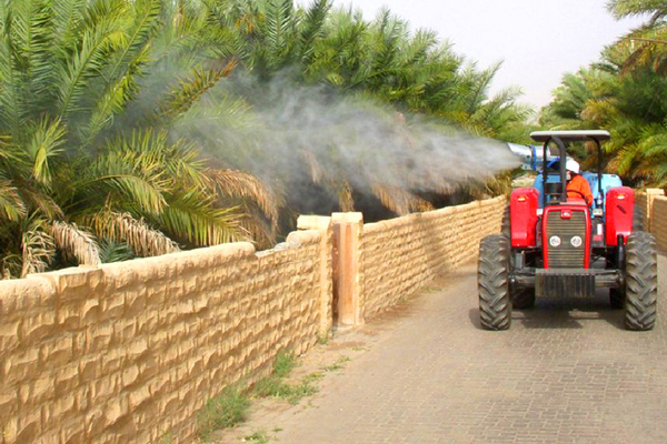 Al Ain Dubai Road