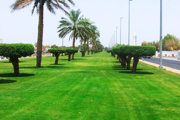 Damas Island