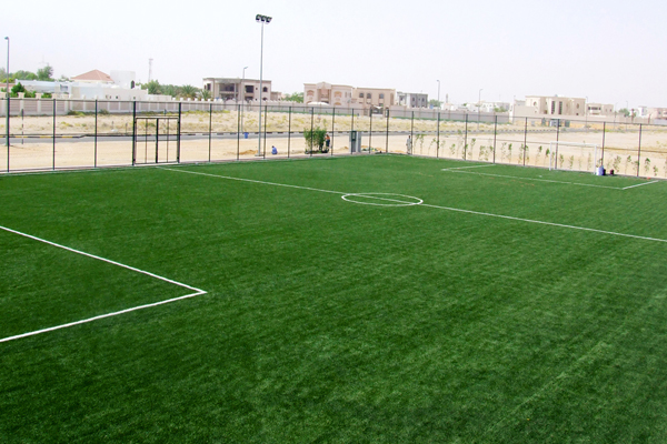Artificial Grass Football Field
