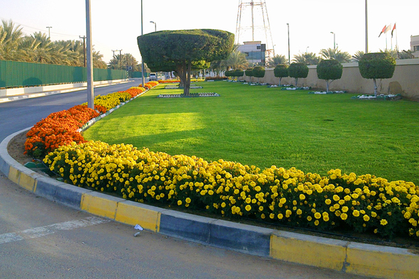 Al Wagan Municipality Grounds
