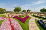 Al Ain Paradise